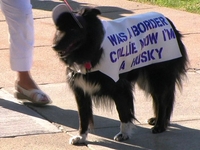 UCONN Victory Parade and Rally