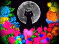 The Broken Hearts - Black Cat
