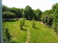 by my window