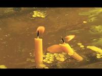 Angkor Wat video poem