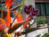 Trailer Boda Bea y Araceli