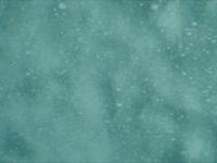 The Car Wash