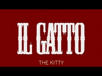 Il Gatto