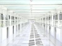 Health and Civilization - Gesundheit und Zivilisation