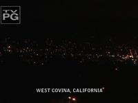 COPS