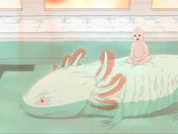 chlorine afternoon