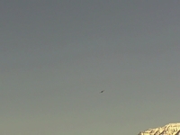 Kyosho P-40 Maiden