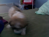 Morning Niko