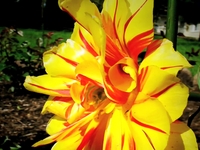 XACTI HD 2000 Test #3