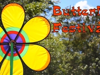Butterfly Festival