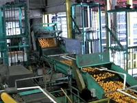 Uncle Matt's Organic Packing House Tour
