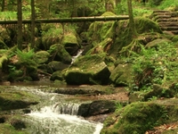 Gertelbach Wasserfälle Gertelbach Wasserfälle