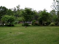 Tour of Back Yard