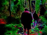 neon forest