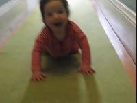 Hazel first steps