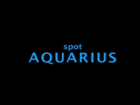 spot Aquarius seminario estrategia y creatividad publicitarias