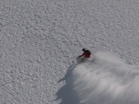 Joaquin Jr. Rips