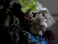 D90 MAC Book Pro Low Light Monitor Test