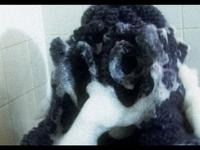 Unravelling (AKA The Knitted Man)