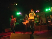 White Wizzard @ Paladino's