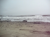 Andrew Molera, CA.