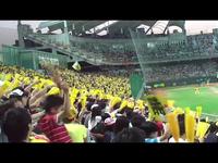 Baseball at Tianmu
