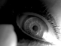 SLEEPING BEAUTY: OCTOBER 2008