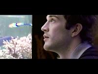 Directing II Exercise IV: Feel Good Summer Hit Aquarium Scene