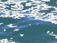 0222 0222