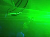 Brrrap!! Brrrap!! goes blacklight jungle style