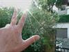 Flip