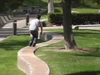 Sunday Day Skate