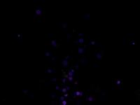 Particles Resolume