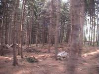 Proto Cablecam at DH7