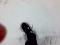Snowboard nei campi!