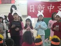 Rainbow School CSL1