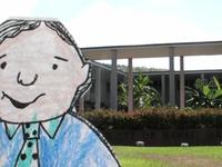 Flat Stanley in Hawaii