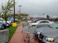 Michoby and the Walmart Shopping Carts