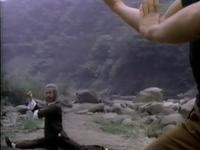 ghostface killer kung fu fight