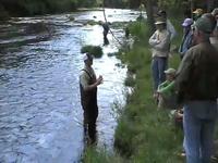 Trout Insects