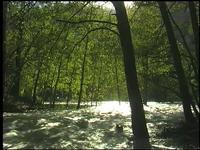 Yosemite, Watersongs - Clip #2