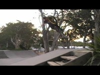 4 clips