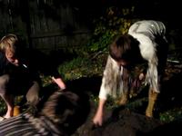 pig from underground