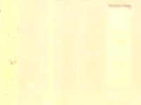 Murray Fingland Brown