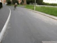 Hop