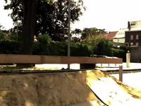A Summer Day With Anthony