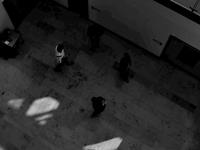 Swarm Sandbox - Social Swarm - Rules Experiment