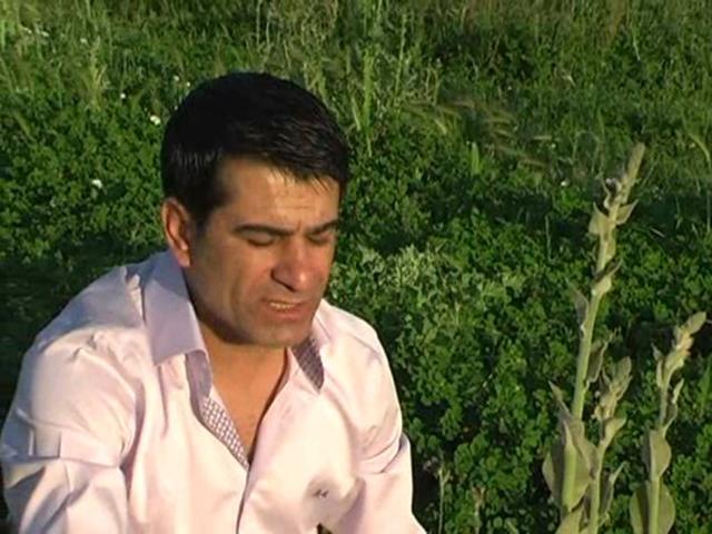 Mehmet BALAMAN - Arguvan&acute;a Gidemem