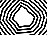 Frightened Polar Zebra