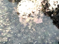 Out On The Edge Of The Ocean